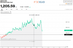 美银美林警告：美元将面临“更大痛苦”